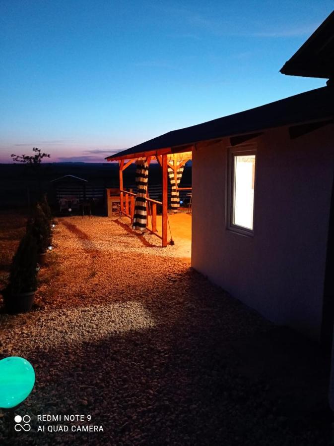 Vila Lotus Murighiol Exterior foto
